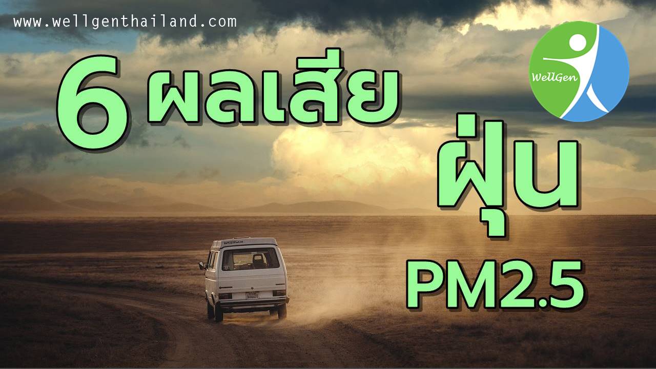 6ผลเสียต่อสุขภาพจากฝุ่นละอองPM 2.5