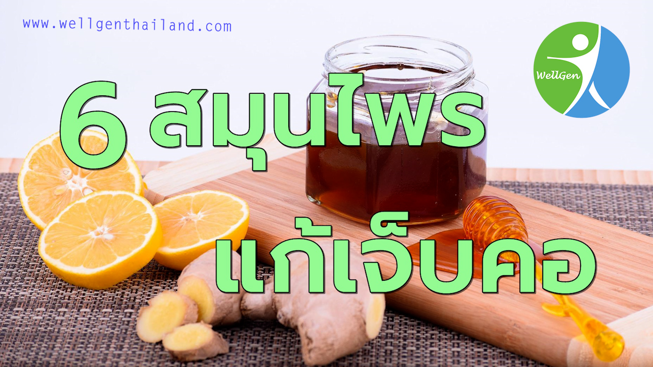 6สมุนไพรไทยแก้อาการเจ็บคอ