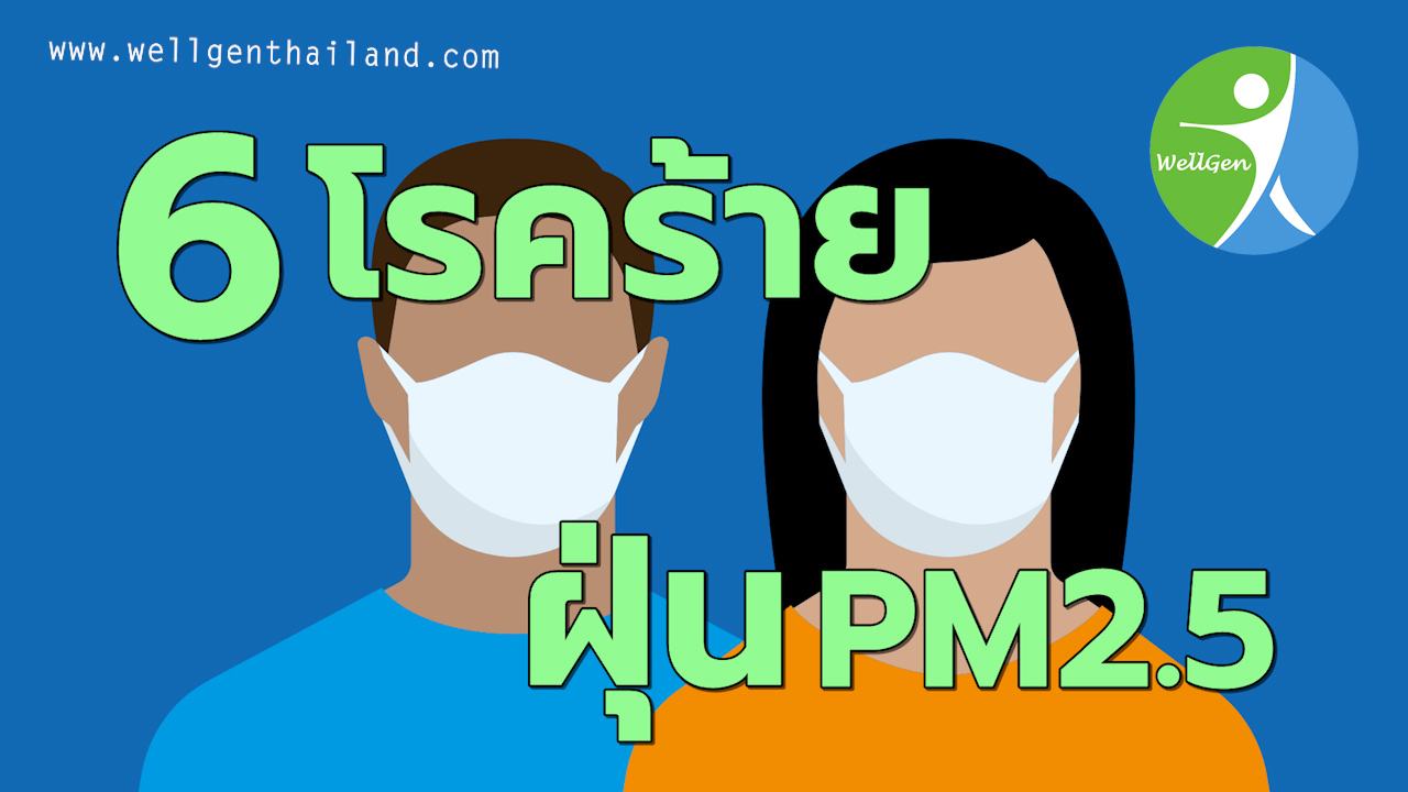 6โรคร้ายจากฝุ่นPM2.5