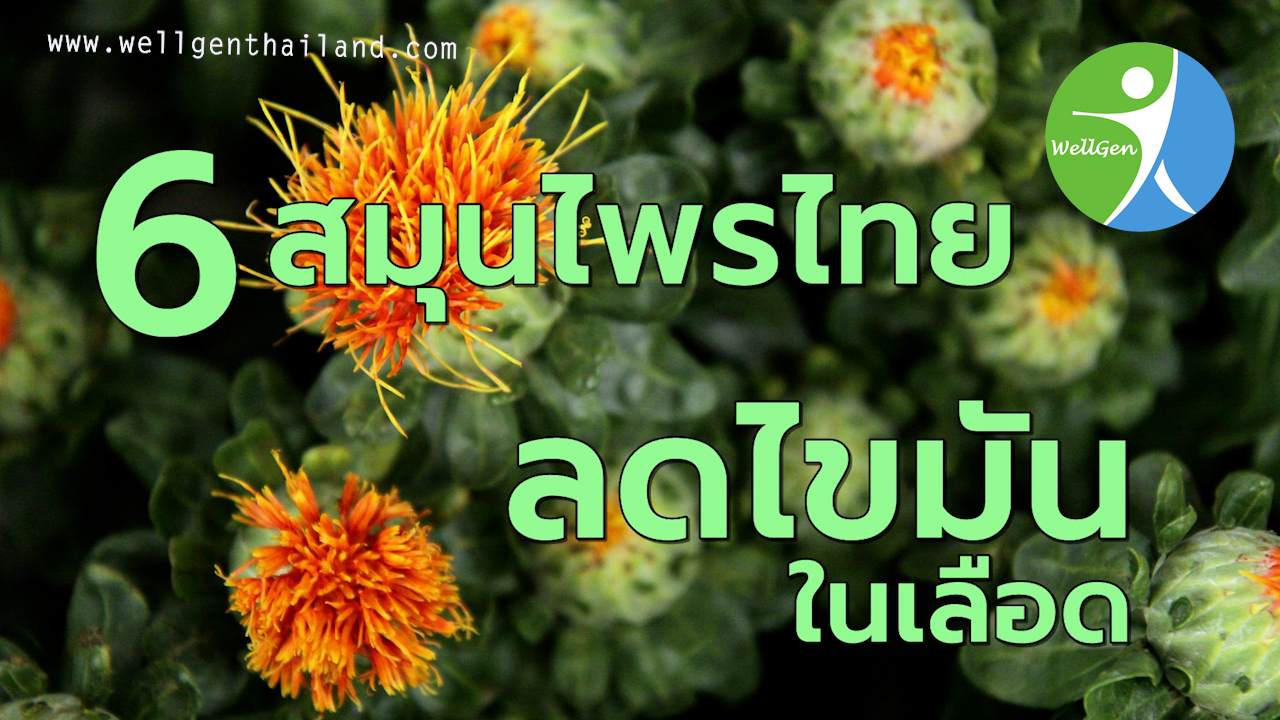 6สมุนไพรไทยลดไขมันในเลือด